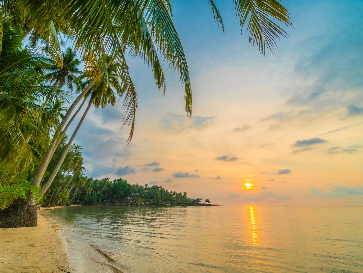 Beautiful paradise island with beach and sea around coconut palm tree at sunset time - Holiday Vacation and Travel concept